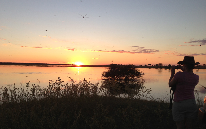 Sunset over a lake on safari